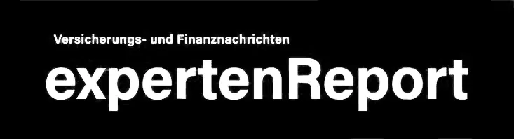 Experten Report